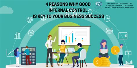 Image result for Internal Control Optimization