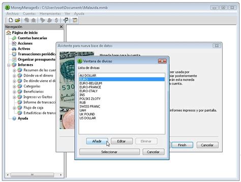 Image result for Money Manager for PC
