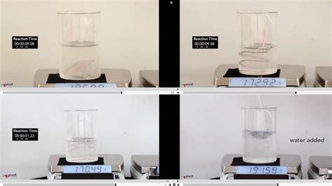 Toradh íomhá ar Pivot Examples Science