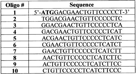 Afbeeldingsresultaten voor ATG Codon