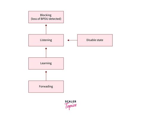 Image result for Spanning-Tree Priority Chart