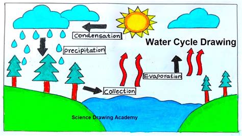 Image result for Science Project Drawing