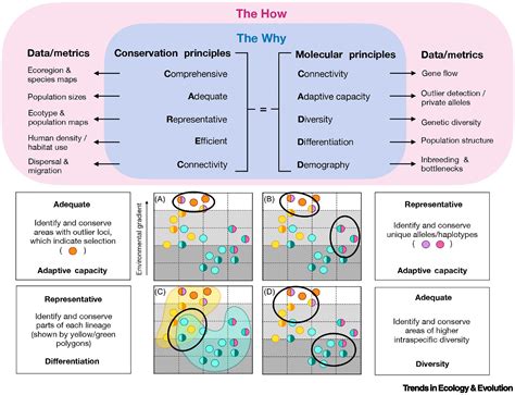 Toradh íomhá ar Systematic Spatial Sample Example