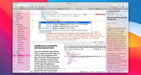 Image result for Program Iz CodeRunner