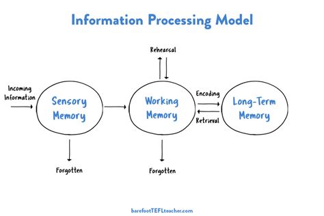 Working Memory Capacity Cognitive Load Diagram に対する画像結果