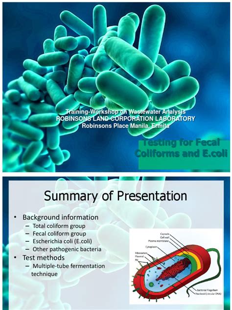 Image result for Coliforms Digesting Media