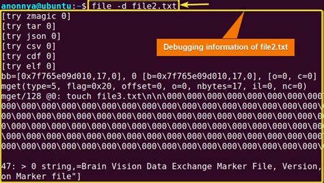 Image result for Excute a File Inside File in Linux