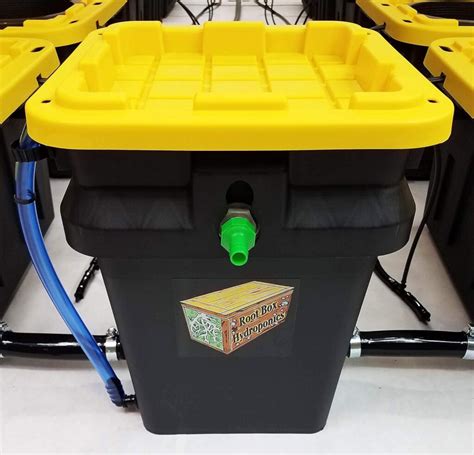 Image result for Root Box