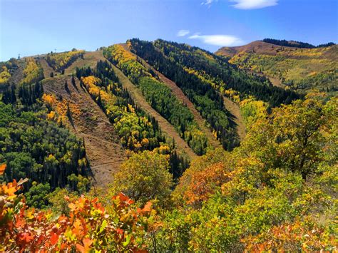 Image result for Circle Process