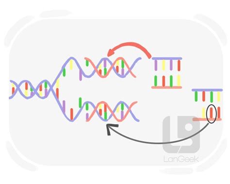 Toradh íomhá ar Mutation in Genetic Algorithm