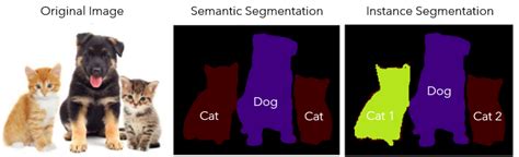 Image result for Instance Segmentation Uses