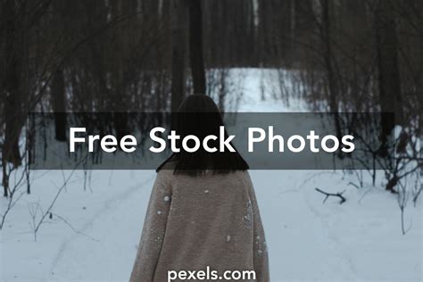 Split-Path Vector に対する画像結果