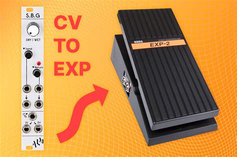 Image result for Multi Expression Control Pedal