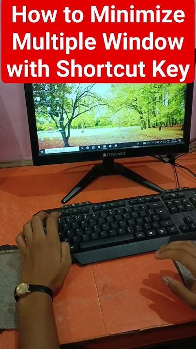 Résultat d’images pour Maximized Window