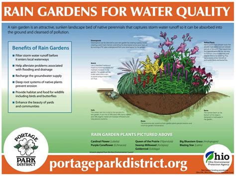 Toradh íomhá ar Rain Garden Guide