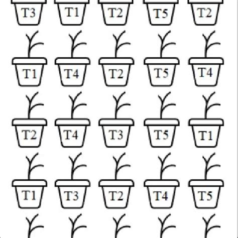 Image result for Completely Randomized Pot Design