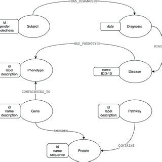 Image result for Phenotype Graph
