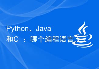 Python Java C++ に対する画像結果