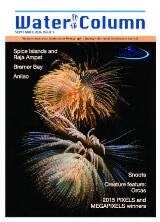 Bildergebnis für Water Column Coastal