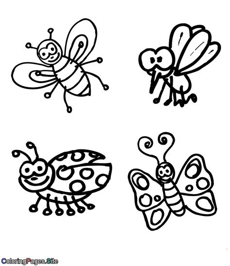 Image result for Insect Colouring