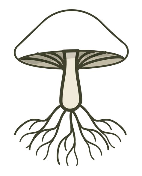 Toradh íomhá ar Stochastics Explained