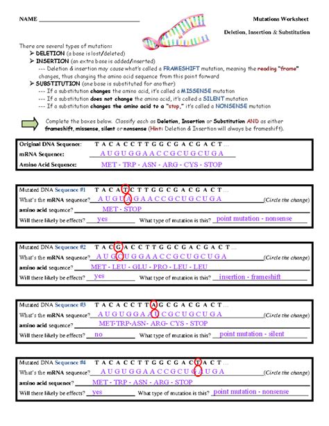 Image result for Genetic Mutations Worksheet Answer Key