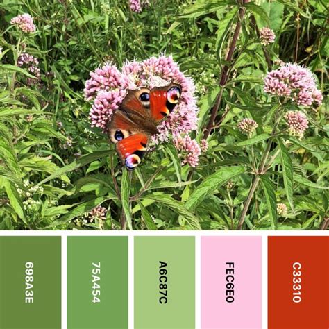 Spring Color Pallets に対する画像結果