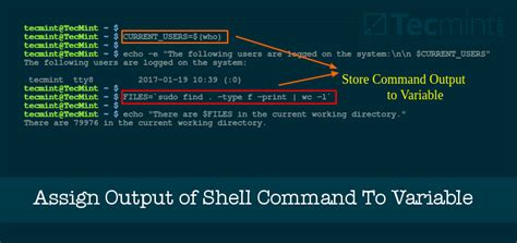 Command to Create Variable in Unix に対する画像結果
