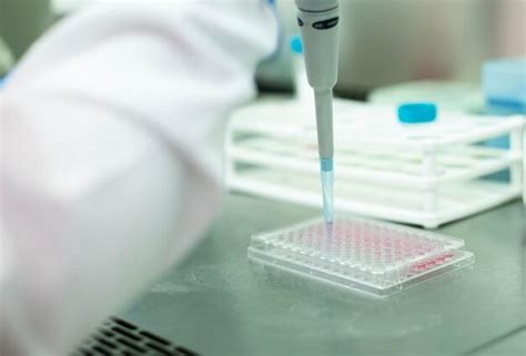 Image result for Cell Copy Lab