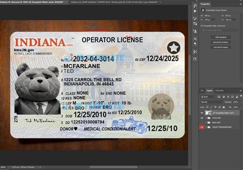 Image result for Indiana License Sample