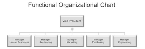 Image result for Example of Functional Chart