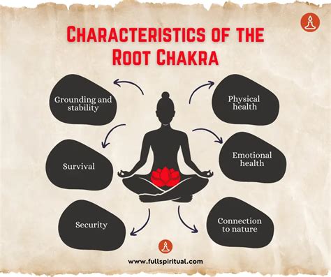 Root Chakra System に対する画像結果