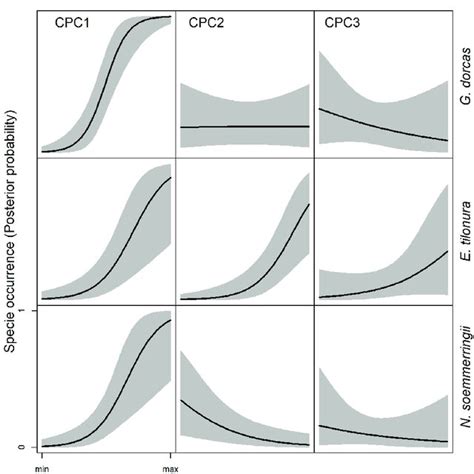 What Is a Bayesian Model に対する画像結果
