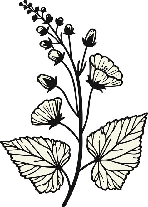 Toradh íomhá ar Clean Linen Drawing