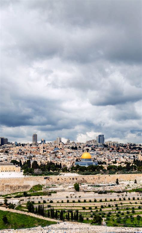 SCD U.S.A. Logo に対する画像結果