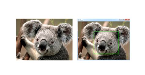 Image result for Mu a Python Editor How to Make a Rectangle