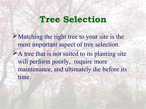 Image result for Tree Slection