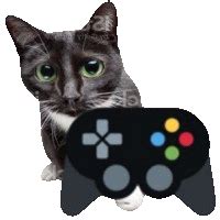 Image result for Cat Game Controller GIF