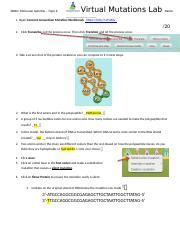 Bee Mutation Lab Answer Key に対する画像結果