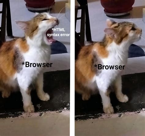 HTML Div Meme に対する画像結果