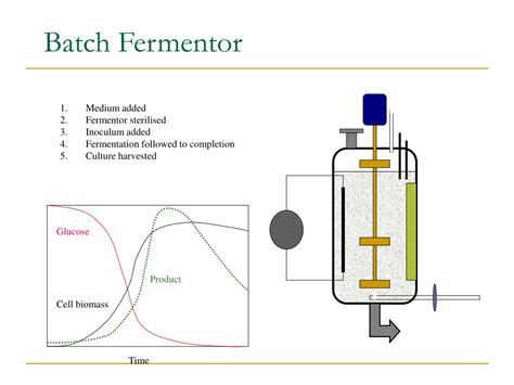 Image result for Batch Fermanor