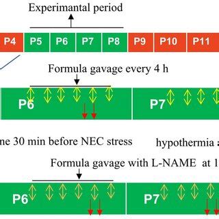Image result for NEC Panel Flow Chart Example