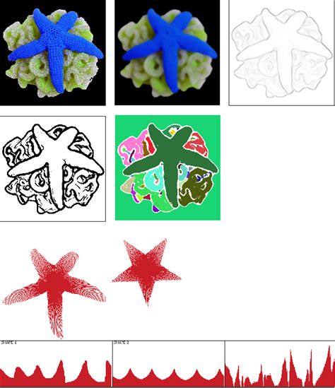 Image result for Image Processing Sample