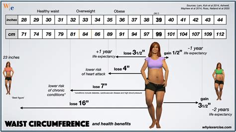 Waist Circumference Chart に対する画像結果