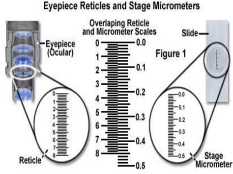 Calibration of microscope