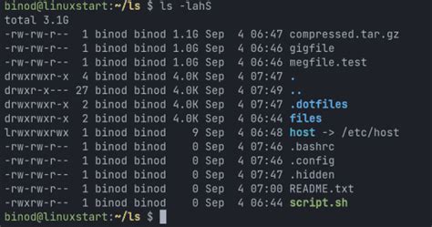 Image result for LS in Shell Script
