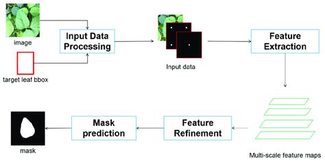 Image result for Wild Leaf Segmentation Python