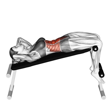 Image result for Image of Butterfly Reverse Crunch Exercise