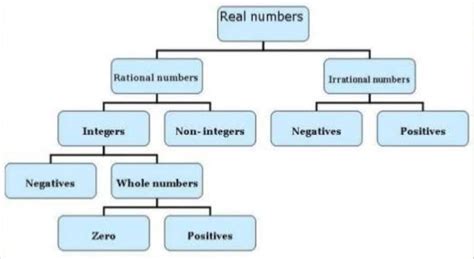 Image result for Number System Chart Class 9