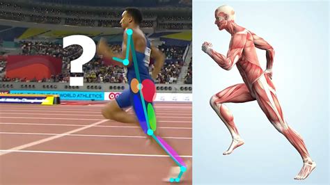 Image result for Run Muscles